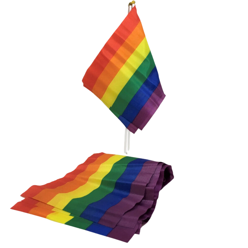 Obsenza - Drapeau LGBT Pride Petit Fanion Coloré pour Fête et Décoration - Image 1