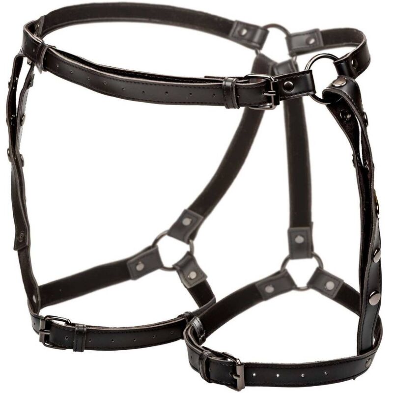 Obsenza - Euforia Imbracatura Coscia in Stile Equitazione Premium by CalExotics - Nero - Image 1