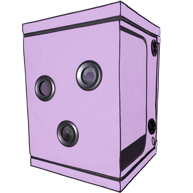 Obsenza - Cabina de Dominación Scandale Púrpura de Secret Dome - Morado - Image 1